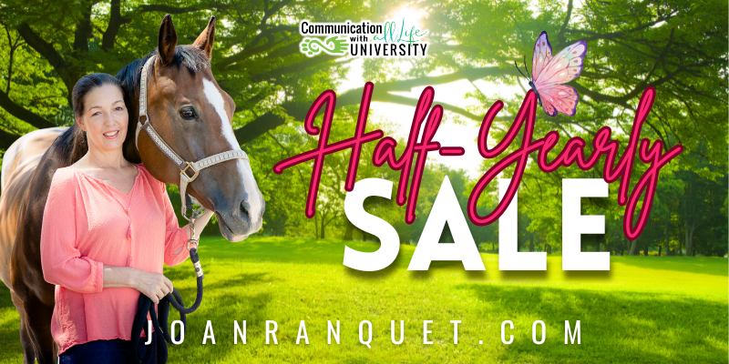 CWALU Half-Yearly Sale