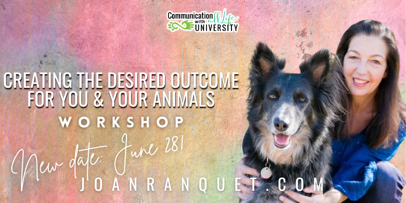 Creating the Desired Outcome image